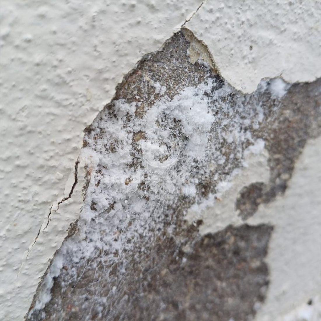 Traitement contre l'humidité d'une maison à Verrières-le-Buisson, 91370, Essonne